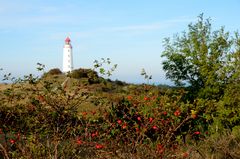 Herbststimmung am Dornbusch