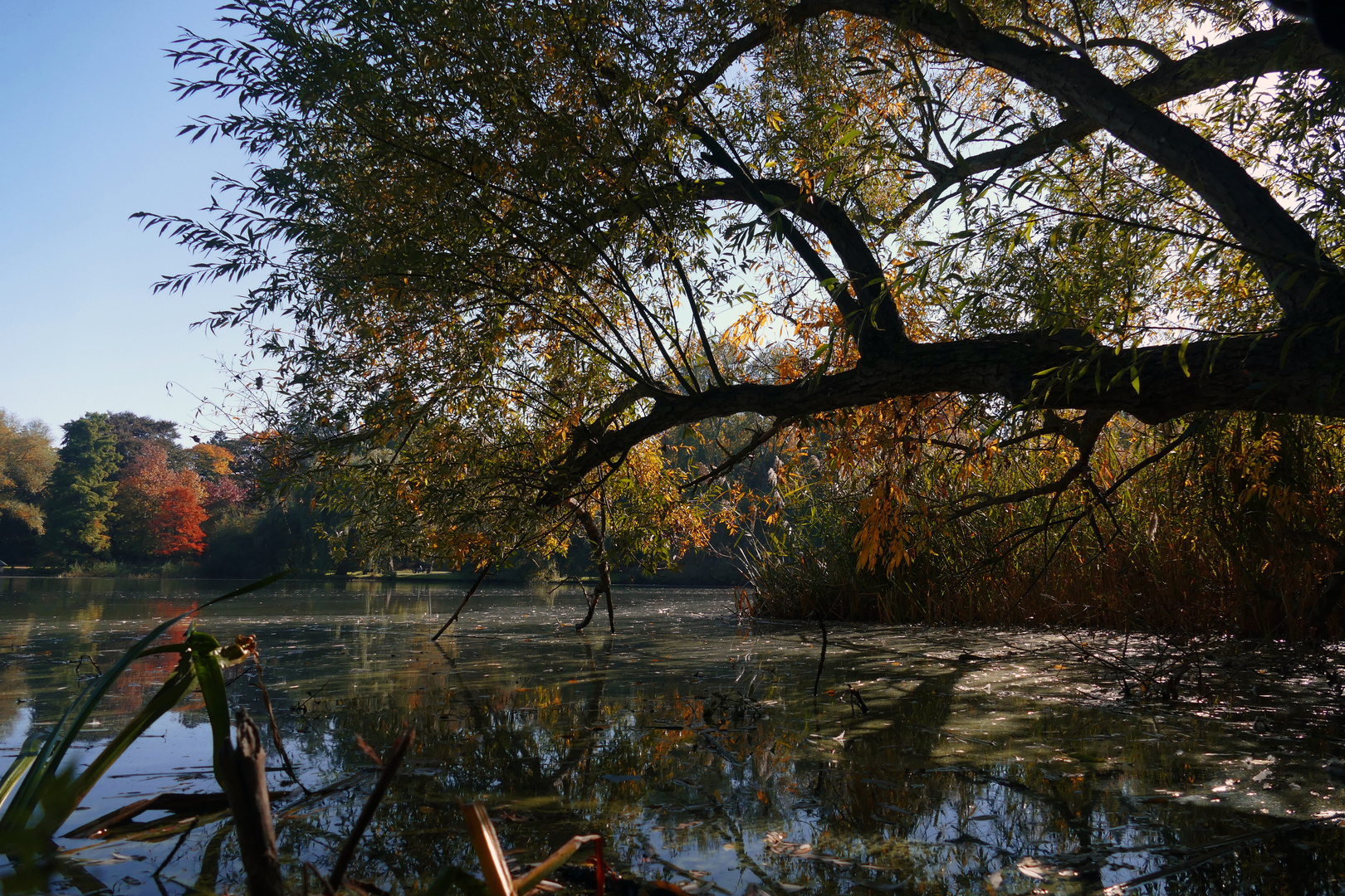 Herbststimmung am Dowesee