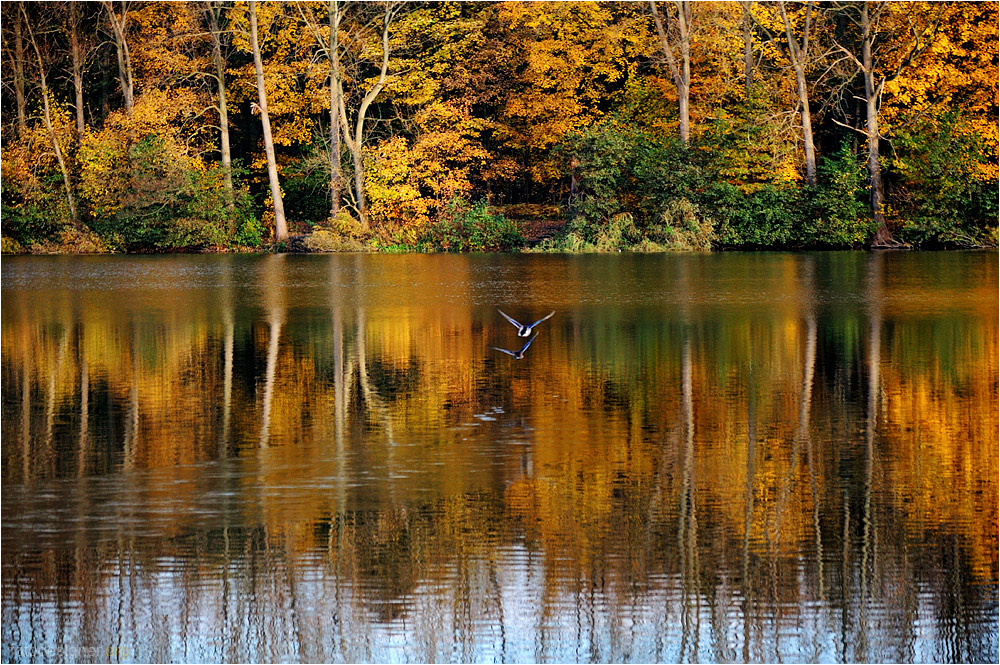 « Herbststimmung am Ewaldsee »