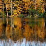 « Herbststimmung am Ewaldsee »