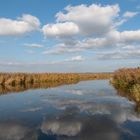 Herbststimmung am Federsee