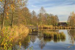 Herbststimmung am Fischteich II