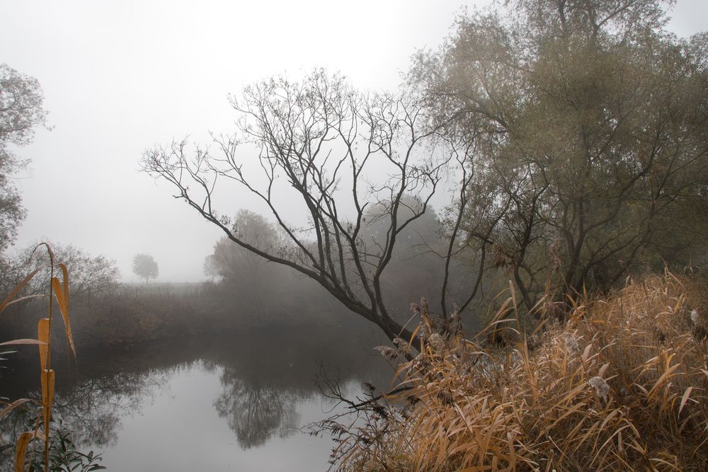 herbststimmung am fluß