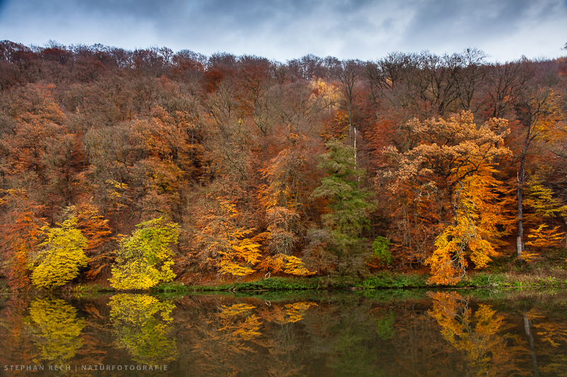 HERBSTSTIMMUNG AM FLUß