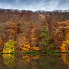 HERBSTSTIMMUNG AM FLUß