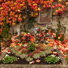 Herbststimmung am Friedhof 3