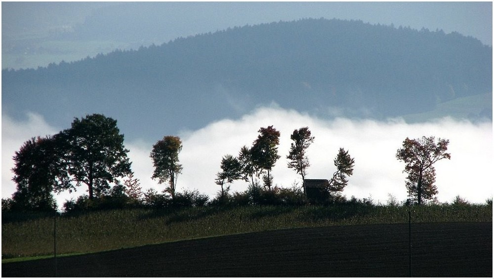 Herbststimmung am frühen Morgen