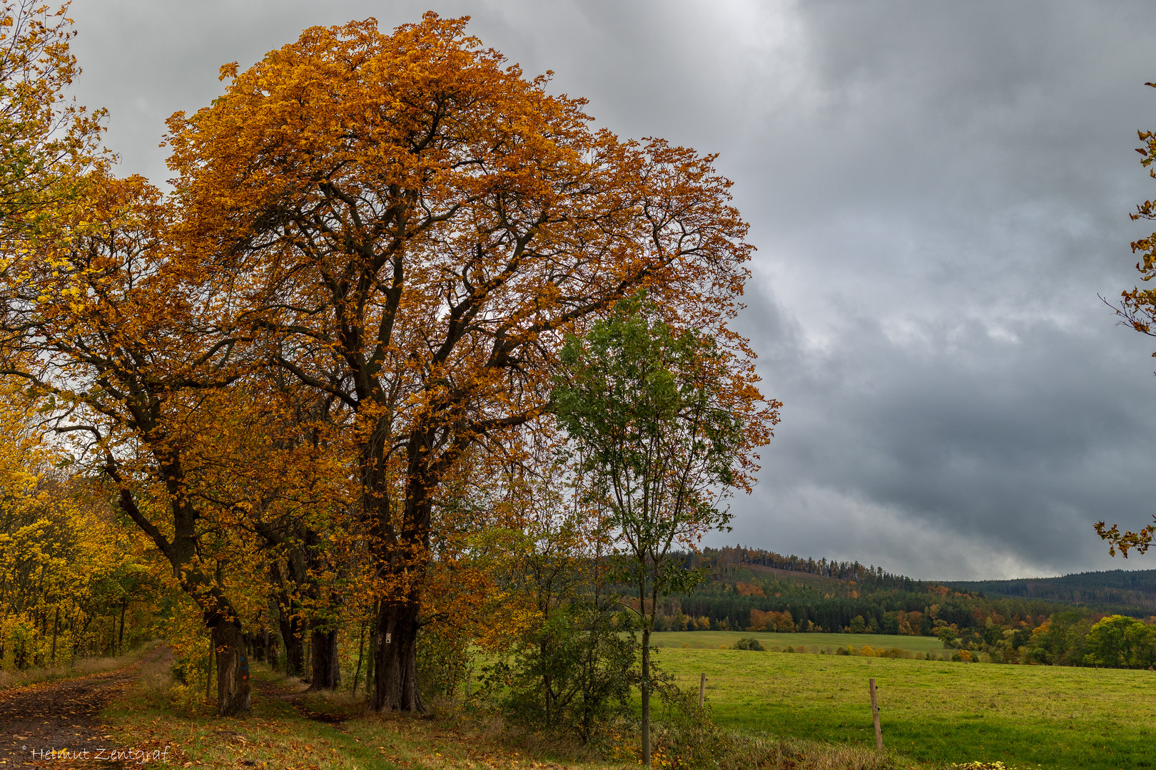 Herbststimmung am Fuße des Thüringer Waldes