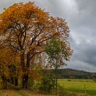 Herbststimmung am Fuße des Thüringer Waldes