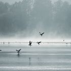 Herbststimmung am Großen Teich Torgau