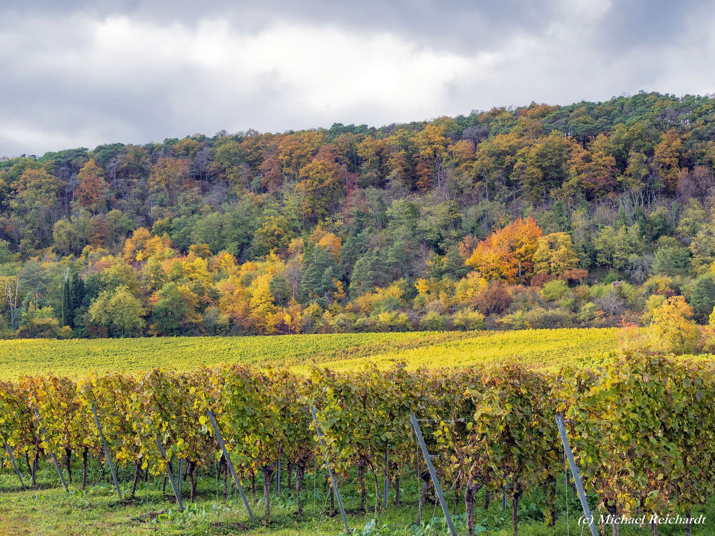 Herbststimmung am Haardtrand