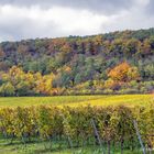 Herbststimmung am Haardtrand