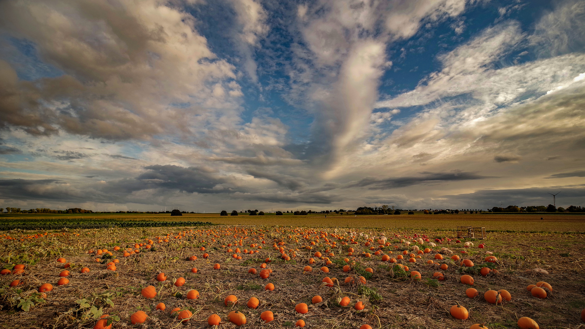 Herbststimmung am Haarstrang...