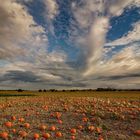 Herbststimmung am Haarstrang...