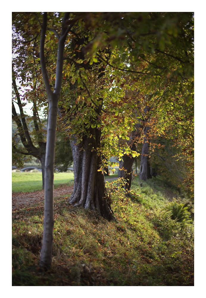 Herbststimmung am Haus Kemnade2