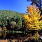 Herbststimmung am Helmbachweiher