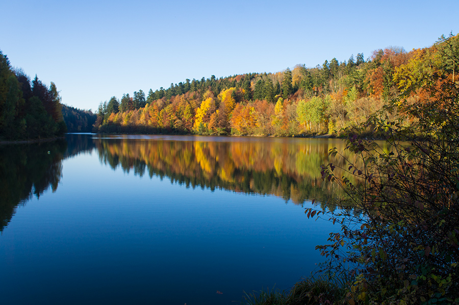 Herbststimmung am Herrenbachstausee