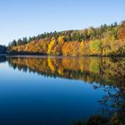 Herbststimmung am Herrenbachstausee