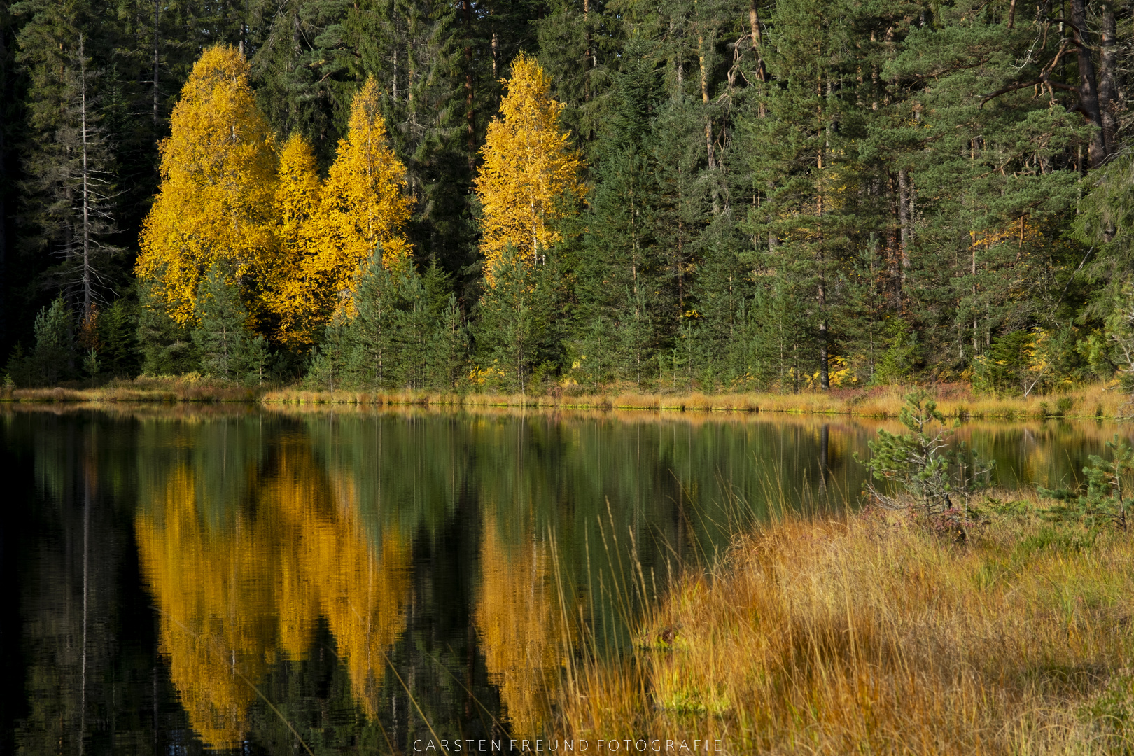 Herbststimmung am Herrenwieser See (Schwarzwald)