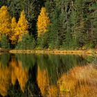 Herbststimmung am Herrenwieser See (Schwarzwald)