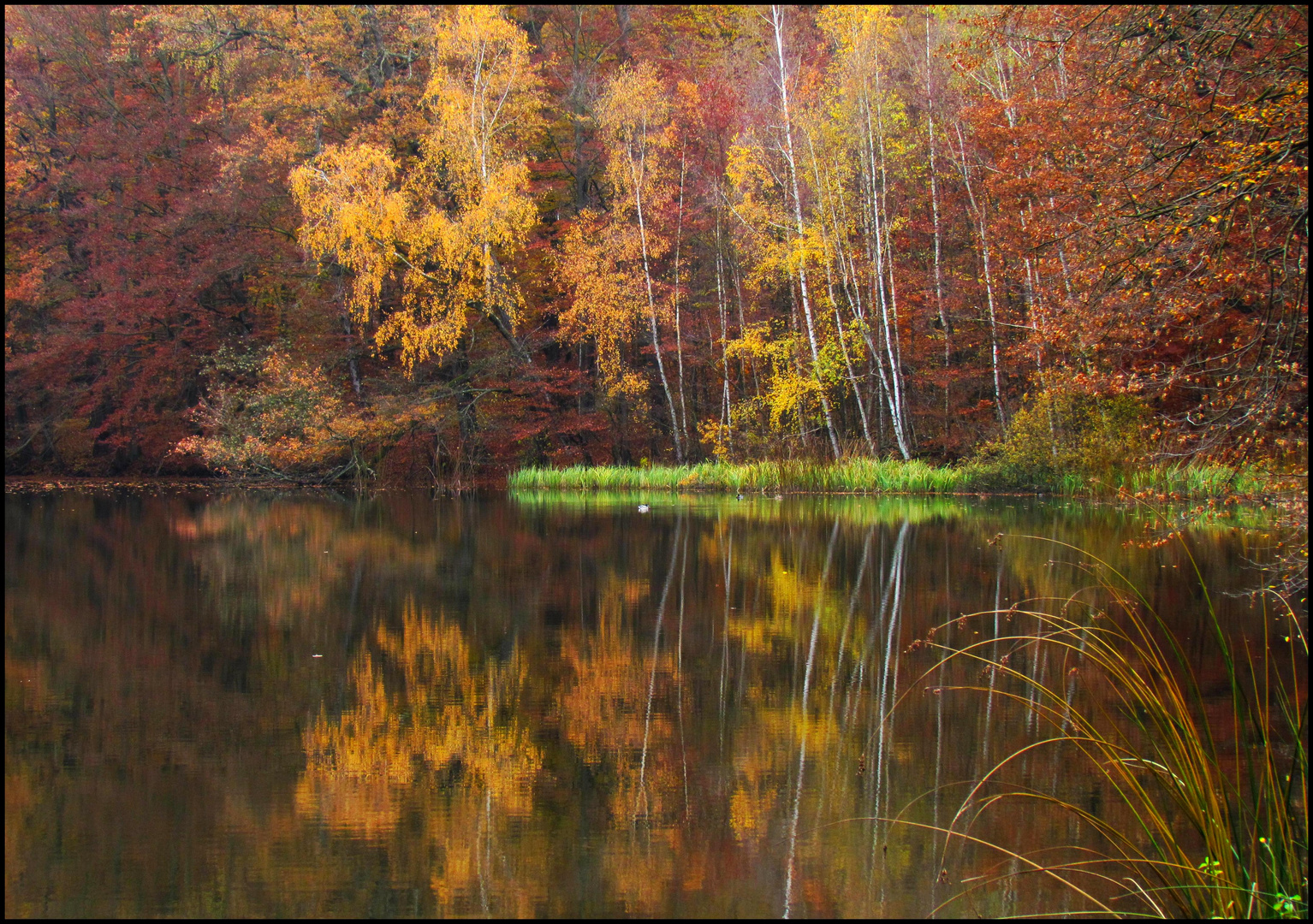 Herbststimmung am Hirseteich