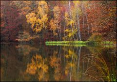 Herbststimmung am Hirseteich