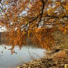 Herbststimmung am Hullerner Stausee