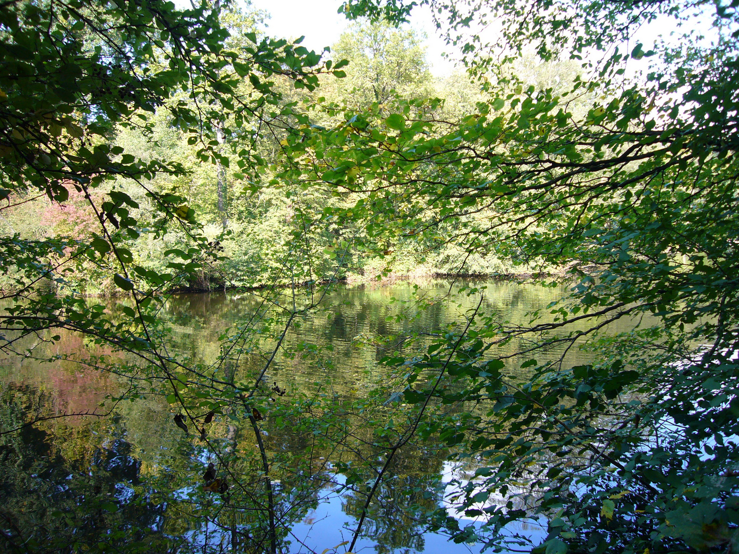 Herbststimmung am Jacobiweiher