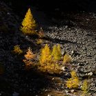 ** Herbststimmung am Julierpass ** 