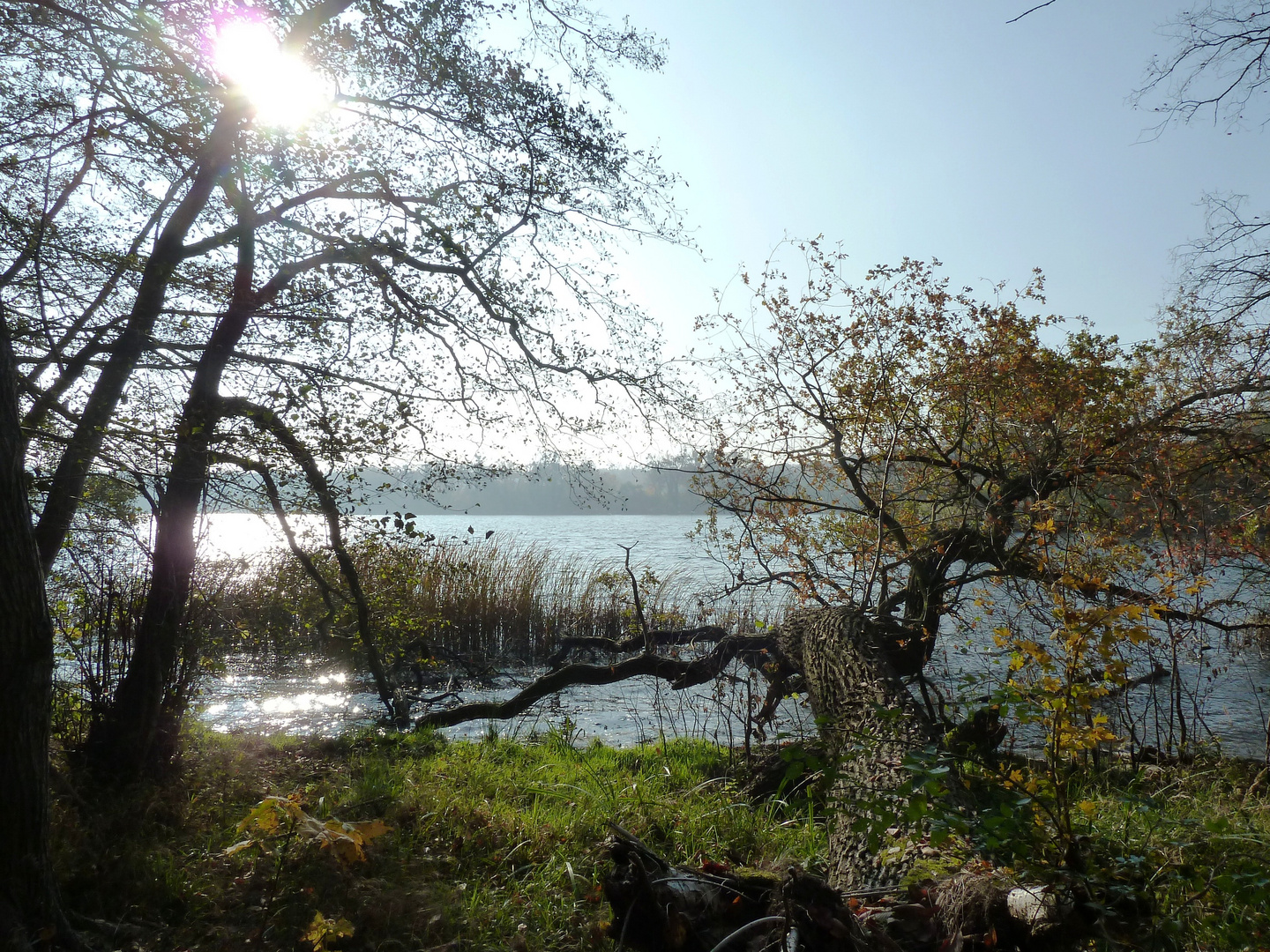 Herbststimmung am Jungfernsee