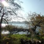 Herbststimmung am Jungfernsee