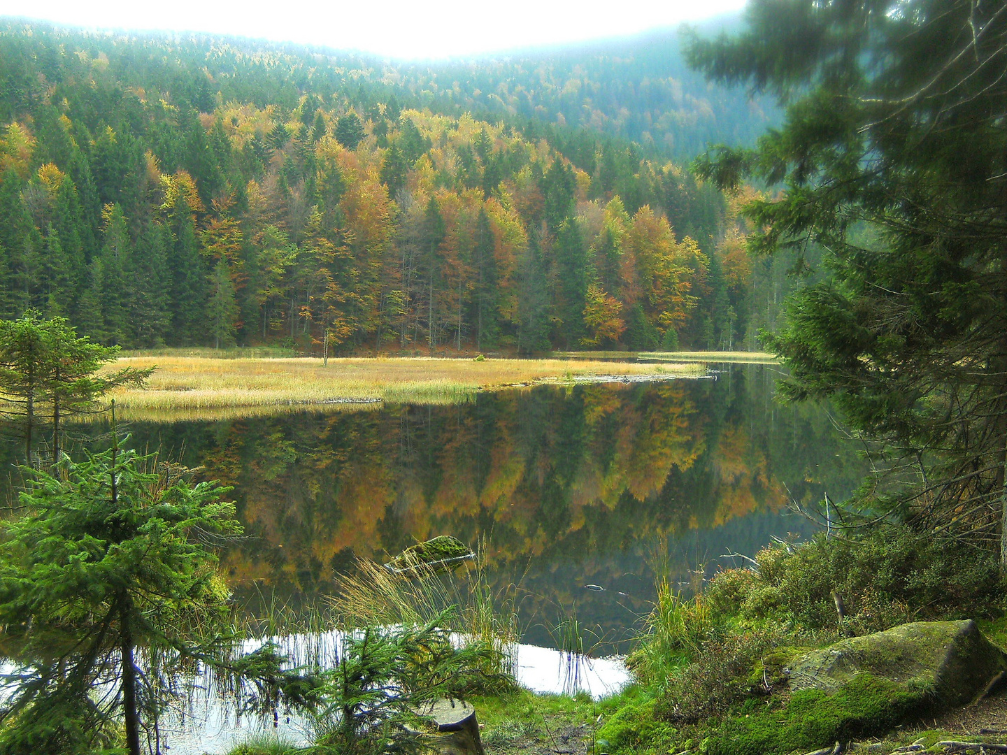 Herbststimmung am Kleinen Arbersee im Bayerischen Wald
