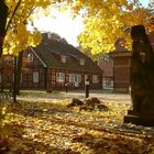 Herbststimmung am Kunstzentrum