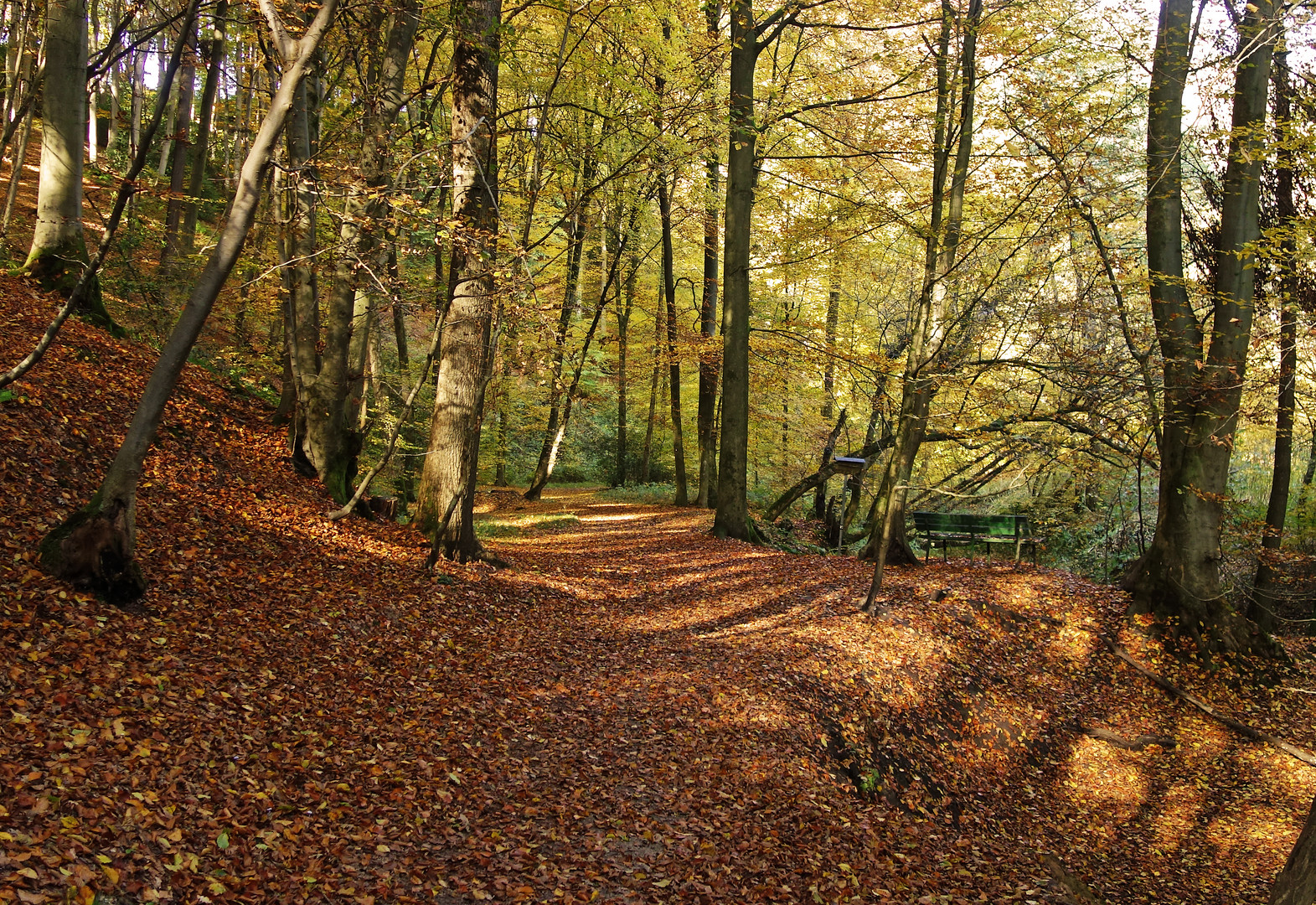 Herbststimmung am Kupfersiefer Bach