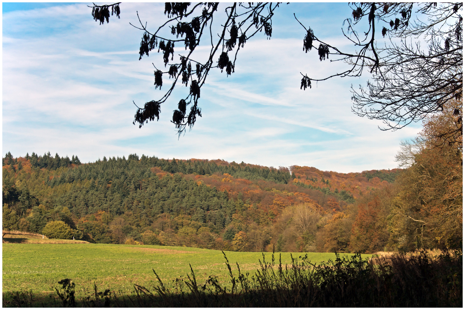 Herbststimmung am Laacher See