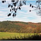 Herbststimmung am Laacher See