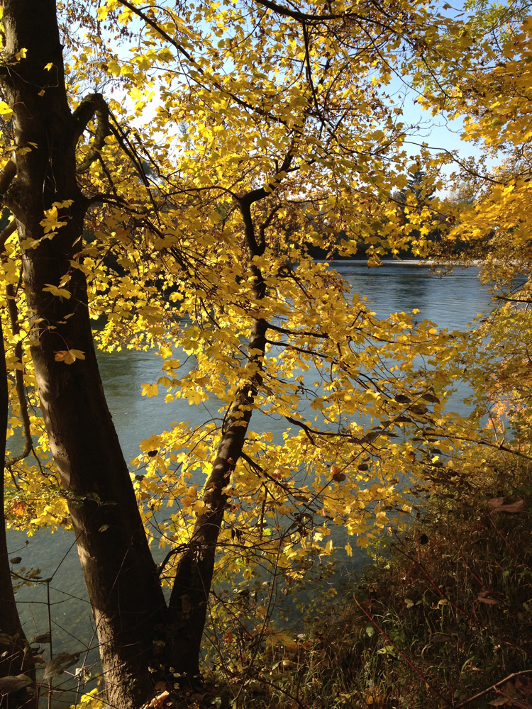 Herbststimmung am Lech