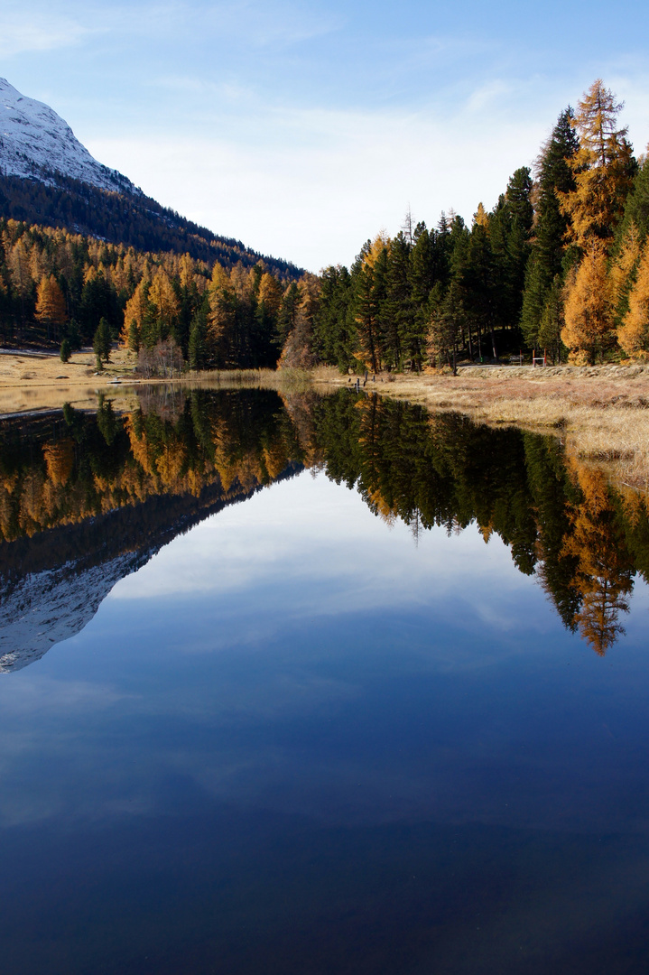 herbststimmung am lej  da staz 