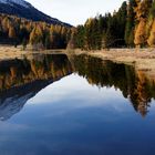 herbststimmung am lej  da staz 