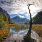 Herbststimmung am Leopoldsteinersee