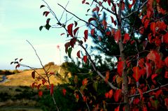 Herbststimmung am LEUCHTTURM