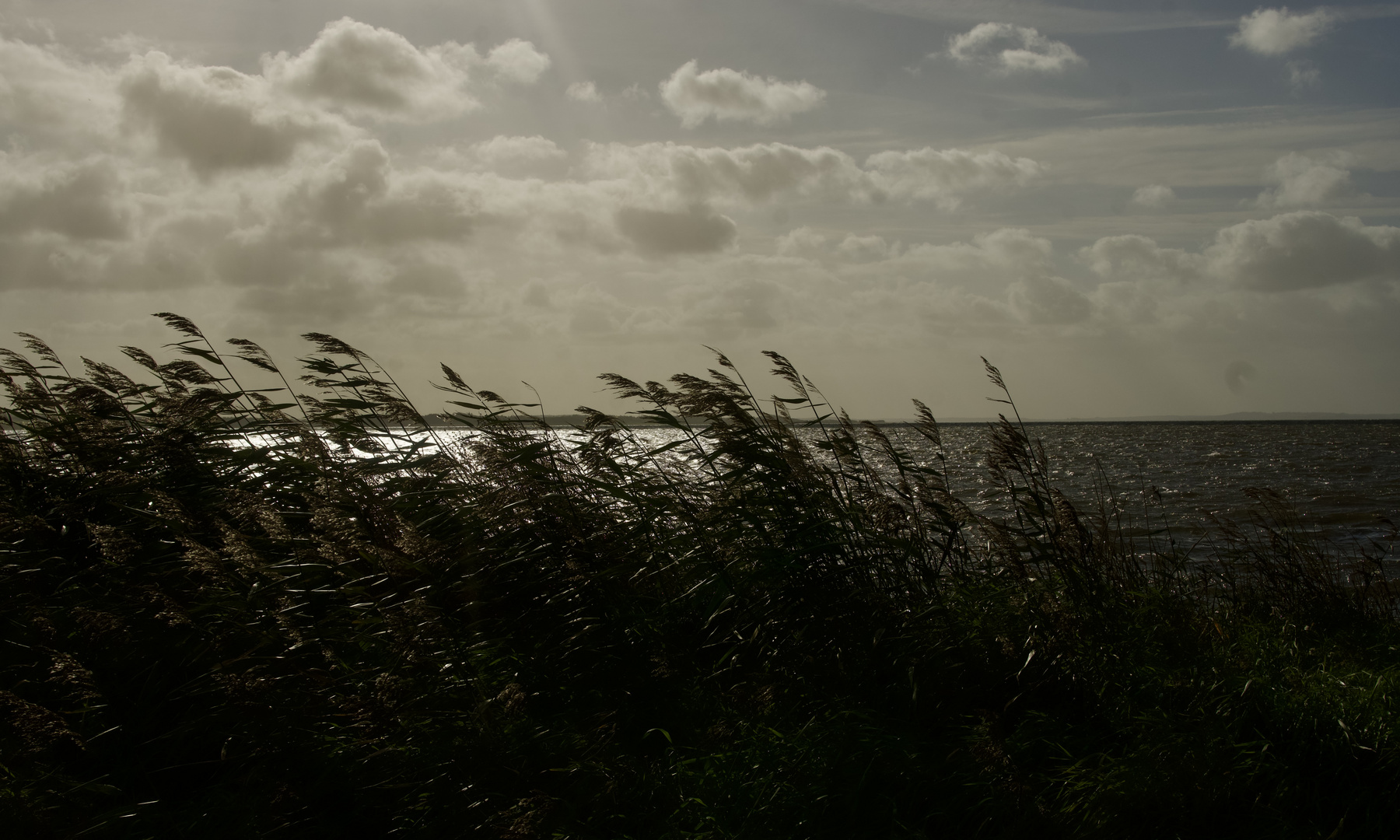 Herbststimmung am Limfjord