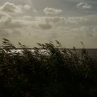 Herbststimmung am Limfjord