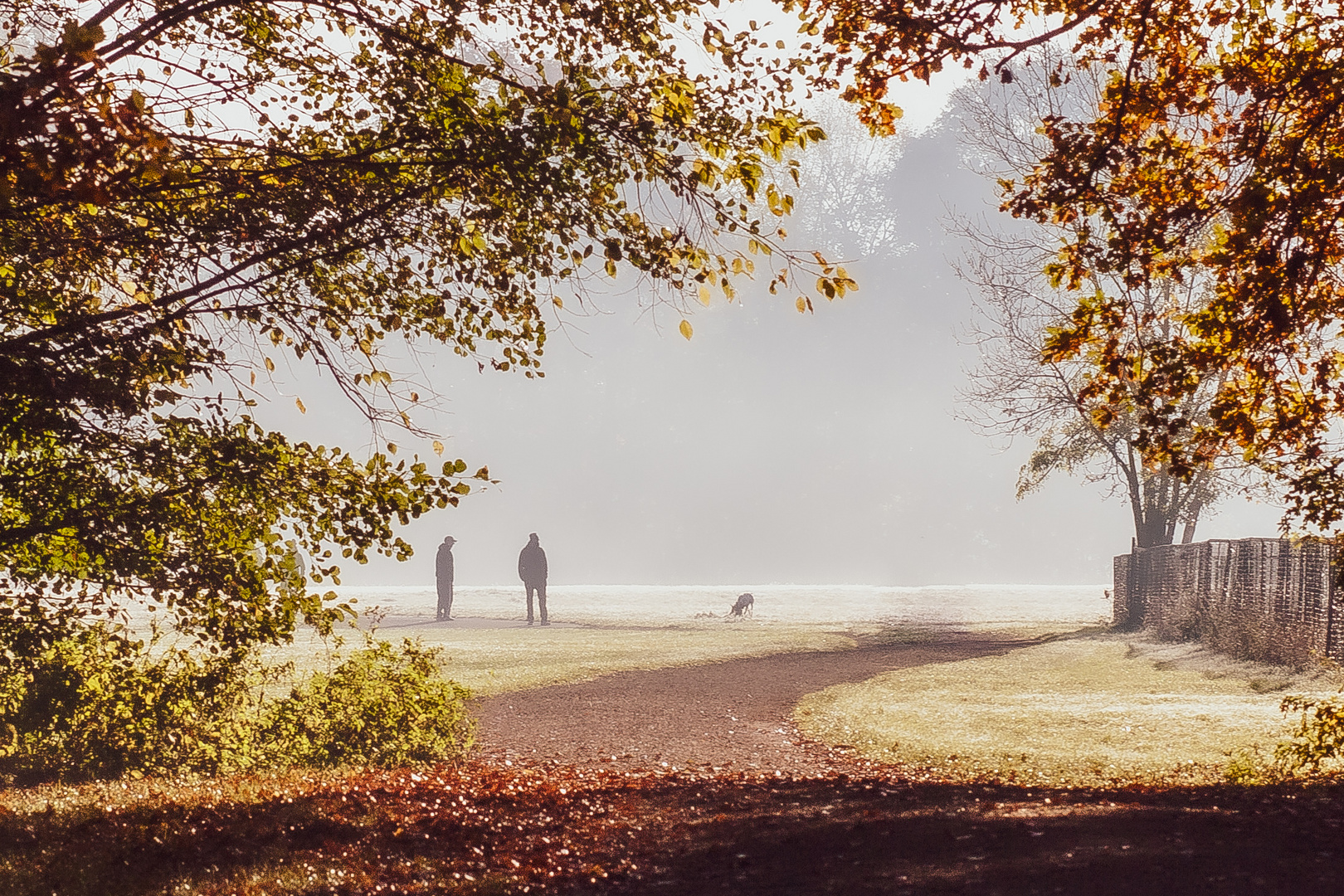 Herbststimmung am Morgen