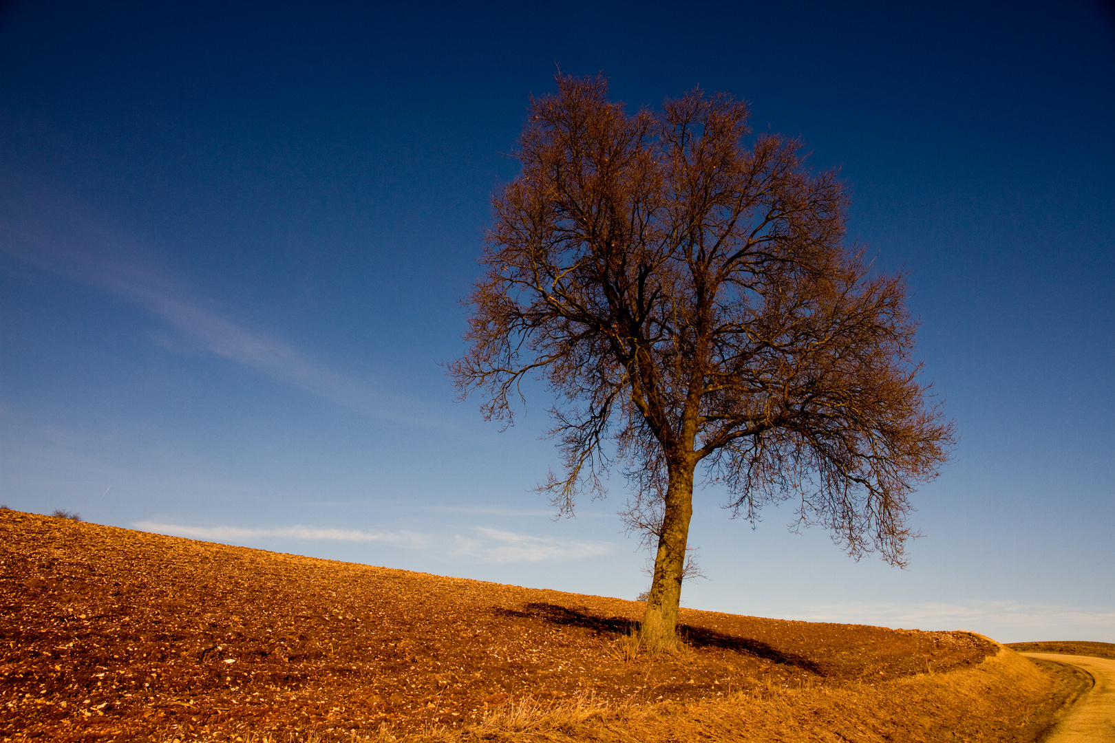 Herbststimmung am Münchshofener Berg