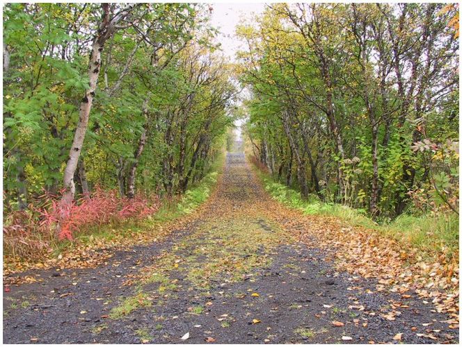 Herbststimmung am Mývatn