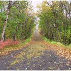 Herbststimmung am Mývatn