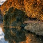 Herbststimmung am Neckar