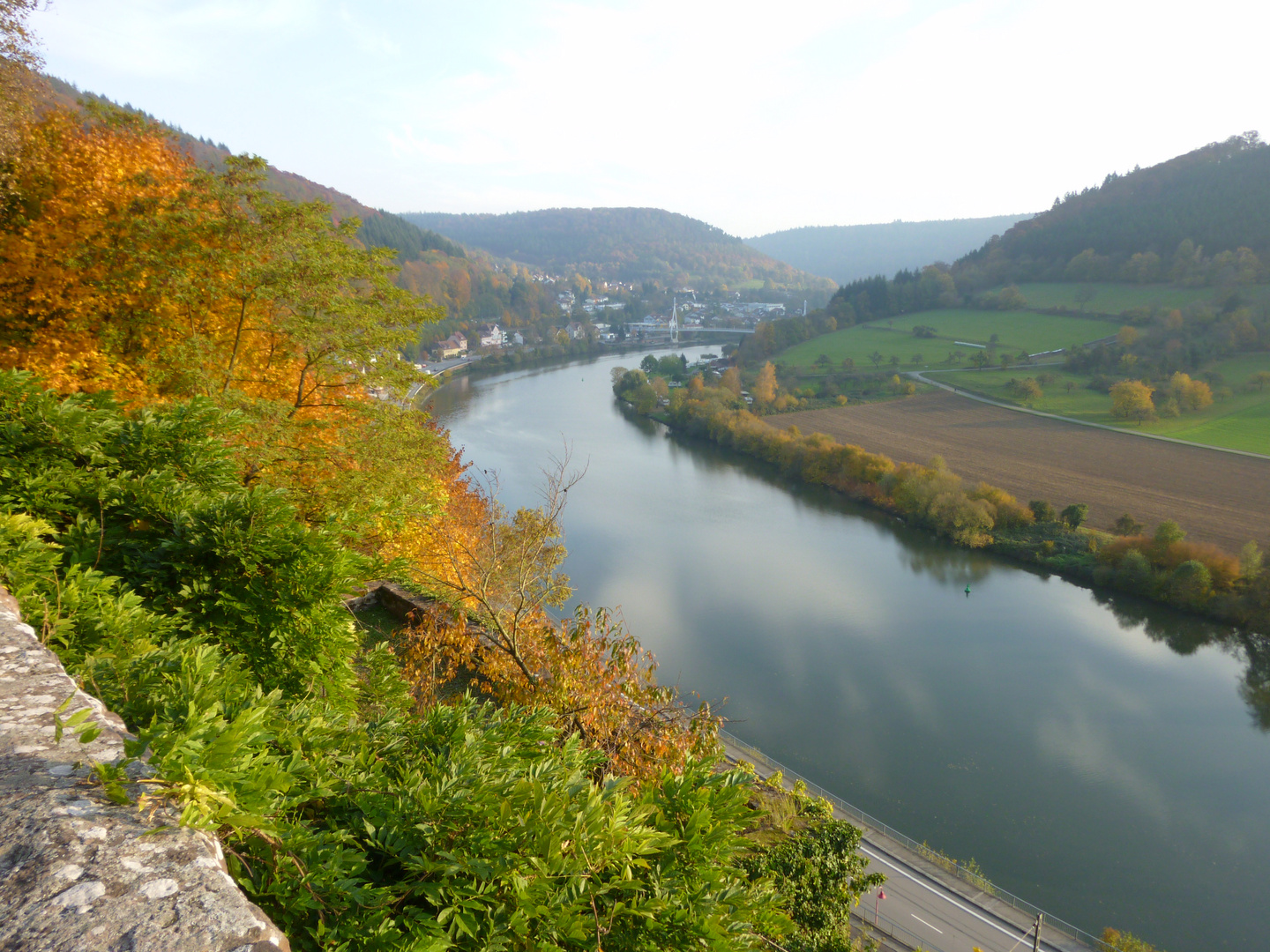 Herbststimmung am Neckar