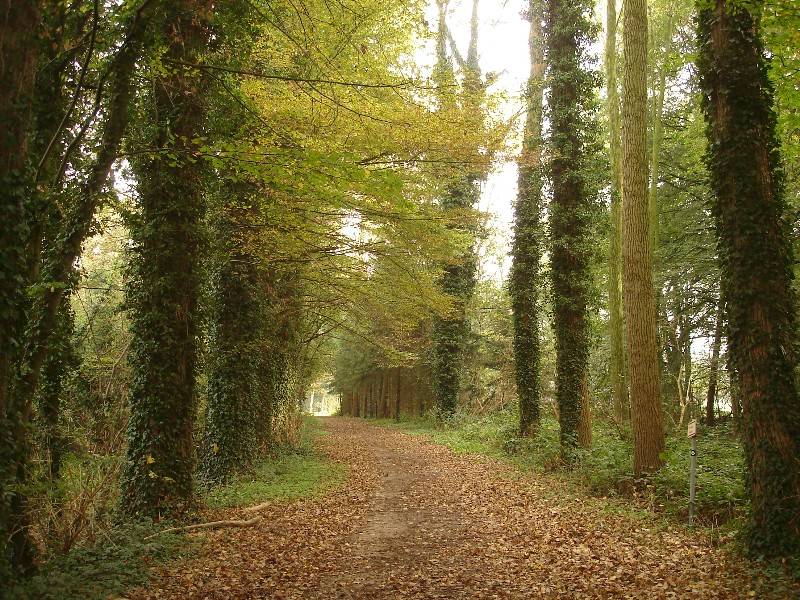 Herbststimmung am Niederrhein